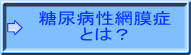 糖尿病網膜症とは